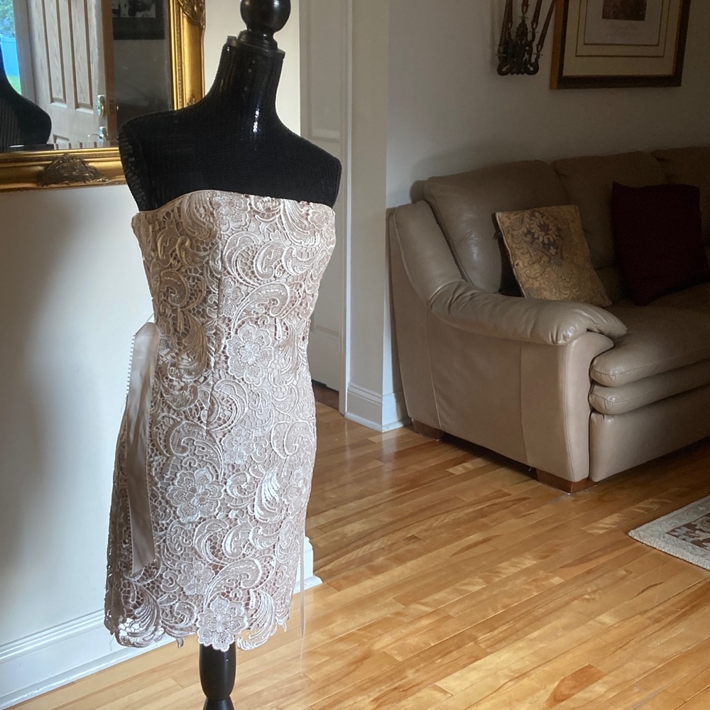 Adrianna Papell Strapless Lace Dress in Beige